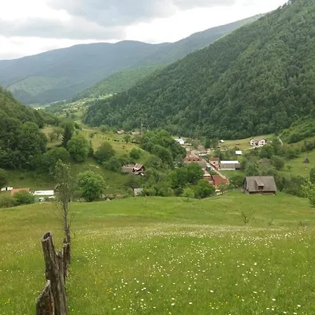 Pensiunea Valea Pinului Rau Sadului