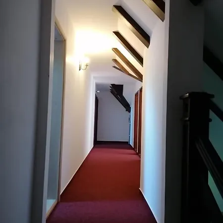 Гостевой дом Pensiunea Valea Pinului 4*