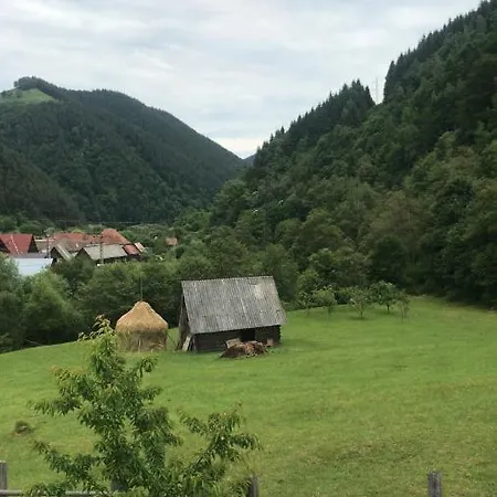 Гостевой дом Pensiunea Valea Pinului Rau Sadului