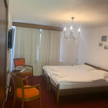 Гостевой дом Pensiunea Valea Pinului 4*