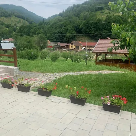 Гостевой дом Pensiunea Valea Pinului 4*