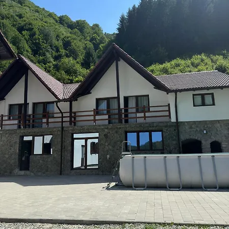 Pensiunea Valea Pinului Гостевой дом Rau Sadului