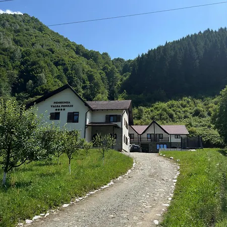 Гостевой дом Pensiunea Valea Pinului 4*