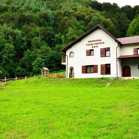 Pensiunea Valea Pinului Гостевой дом
