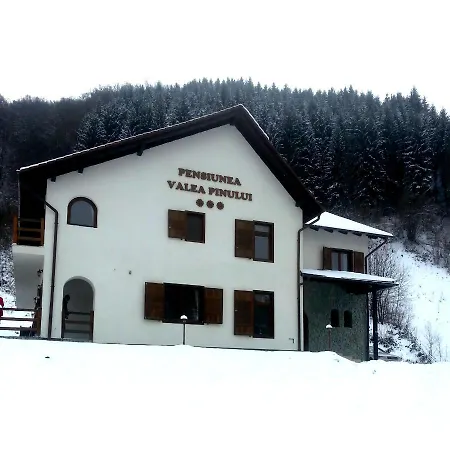Pensiunea Valea Pinului Rau Sadului