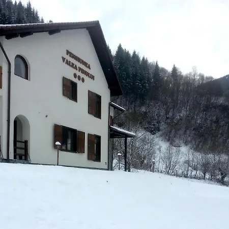 Pensiunea Valea Pinului 4*